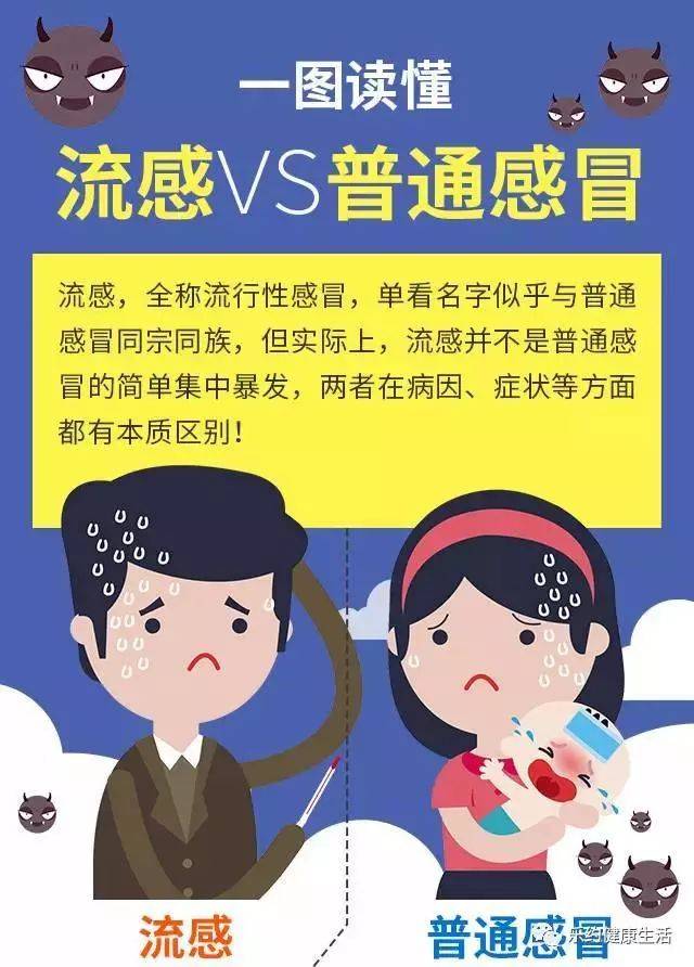 南方流感最新动态，温情日常中的抗击战