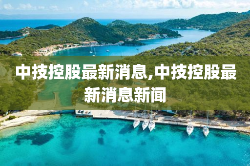 中技控股最新动态更新，最新消息汇总