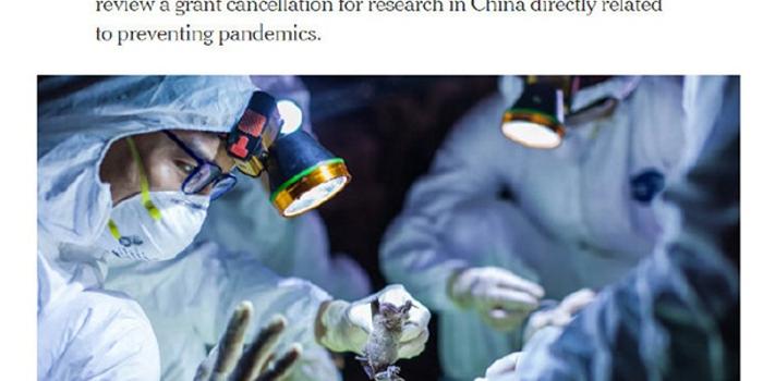 比特病毒最新动态，探索私密大自然与内心平静的奇妙旅程