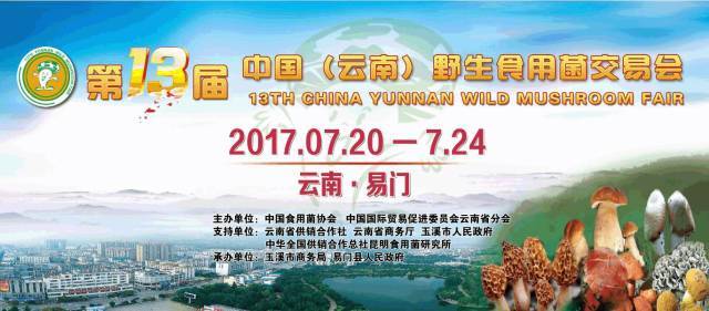 勐海县最新招聘，科技革新引领未来生活新篇章