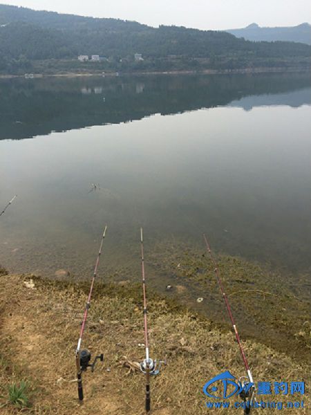 升钟水库最新钓鱼情报，垂钓热点及鱼获分享