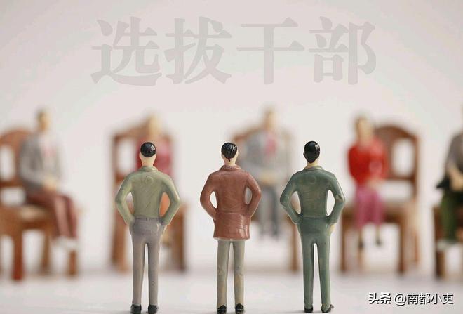 最新干部选拔任用程序,最新干部选拔任用程序，小巷深处的惊喜发现