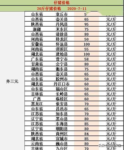 猪仔价格最新动态，今日行情及消息速递📢🐖