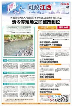 2024弃婴岛最新动态，全面理解与应对的步骤指南