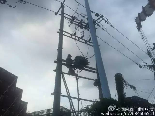 厦门台风最新消息2024，风雨中的小巷奇遇与美食瑰宝