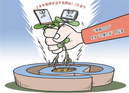 涉黄警示，成人色情网站的危害与风险解析，警惕不良影响！