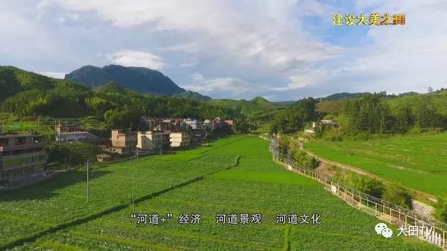 福建大田新闻最新动态，小巷深处的独特风味