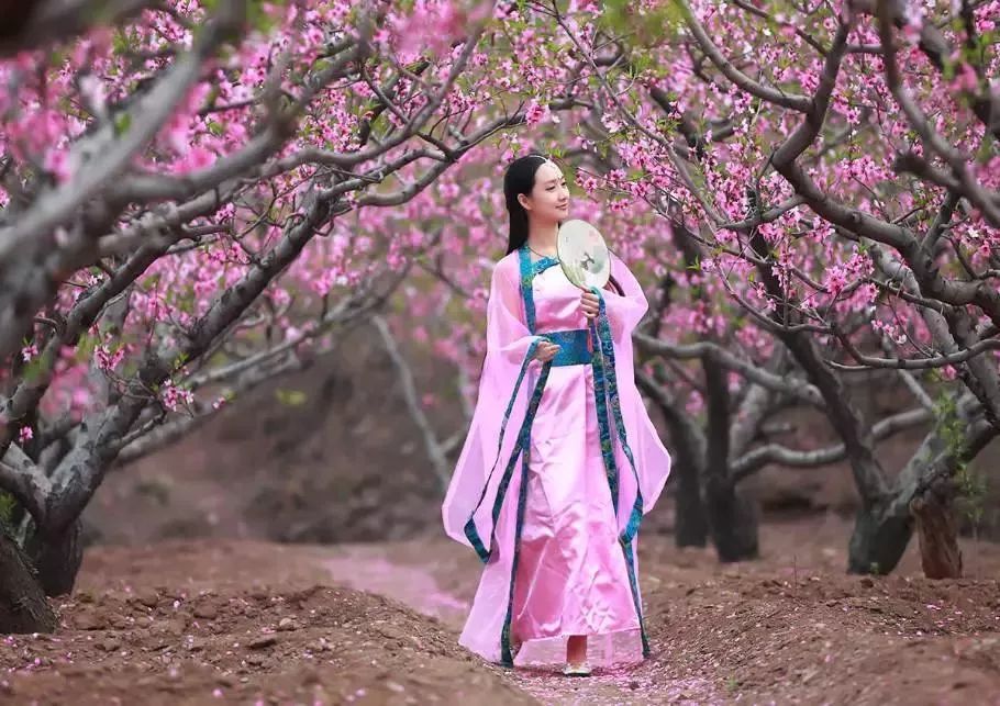 美女请留步最新章节,美女请留步，一场与自然美景的浪漫邂逅之旅