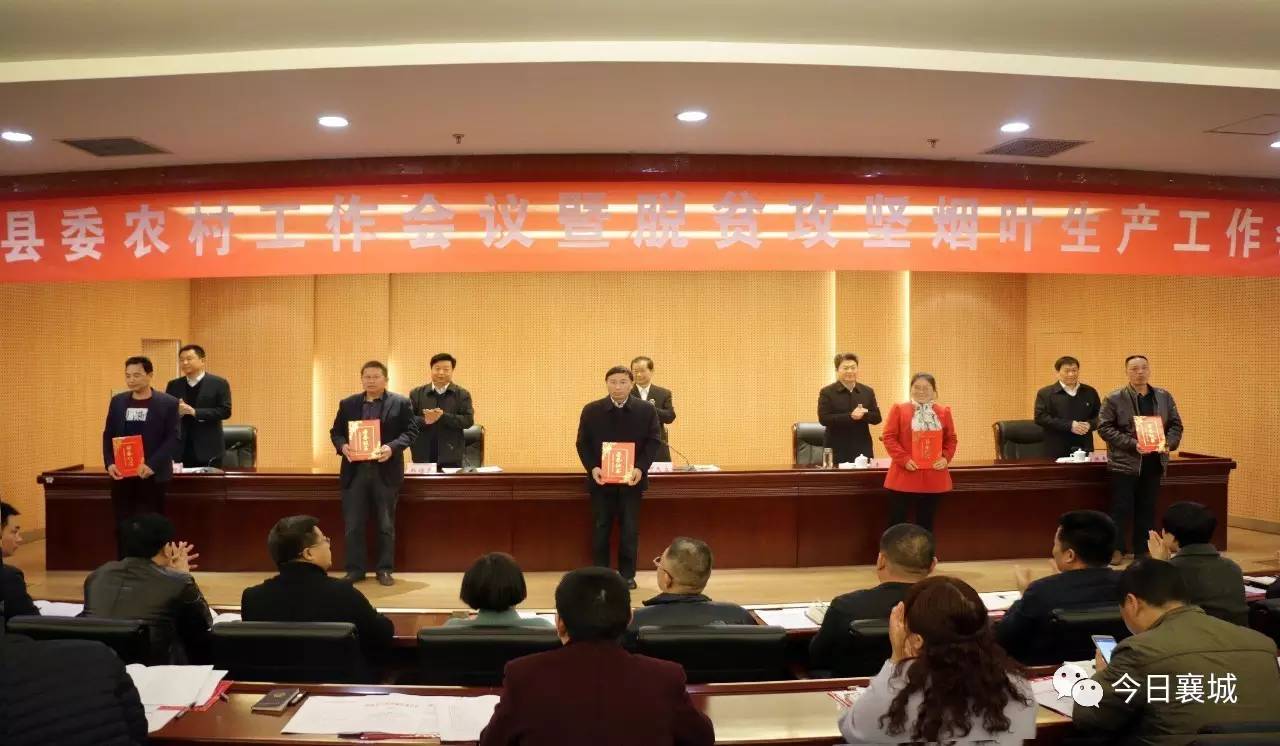 襄城县最新人事任免名单公布，观点阐述与分析