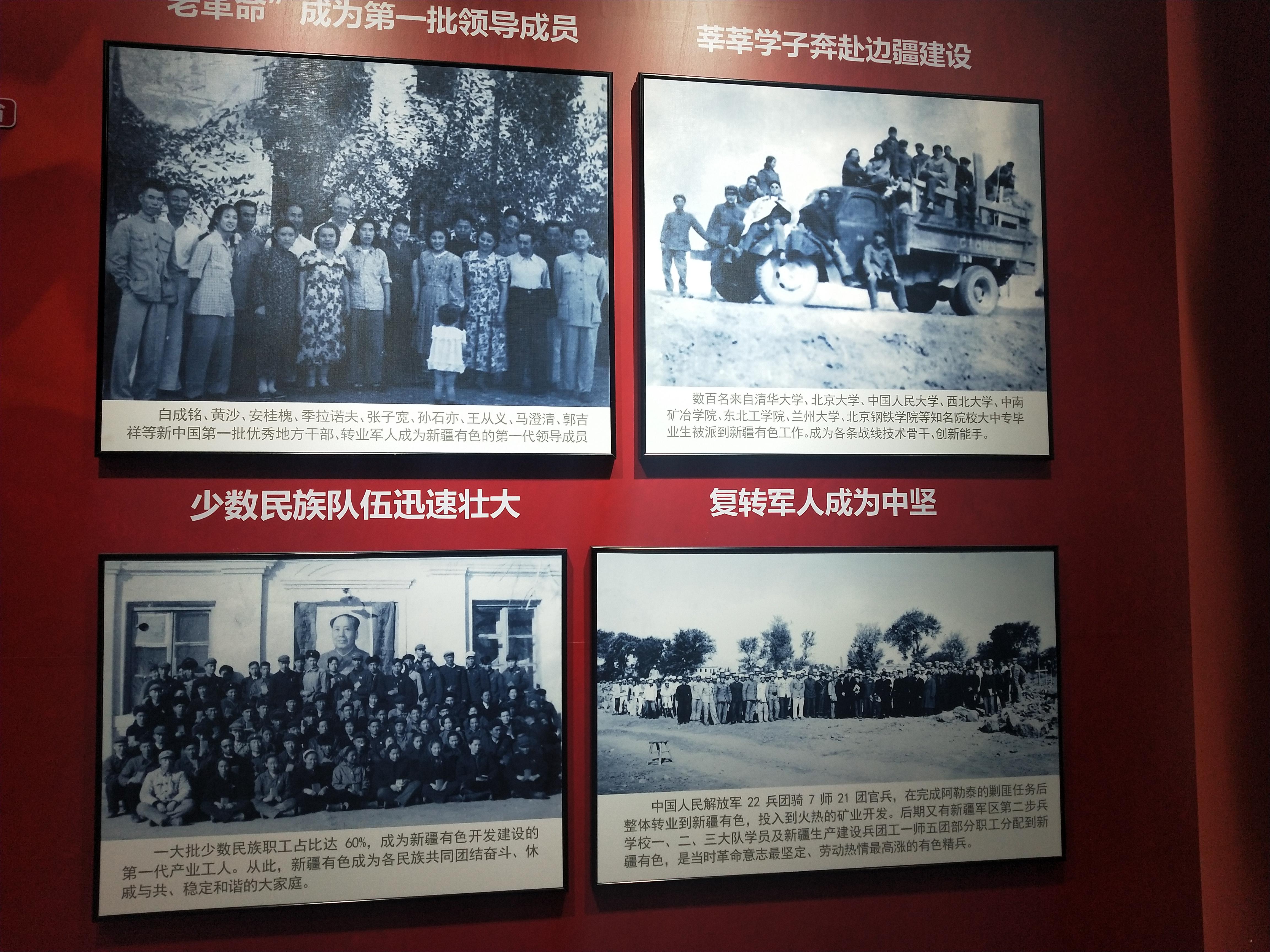 新疆有色集团最新动态，初学者与进阶用户关注指南