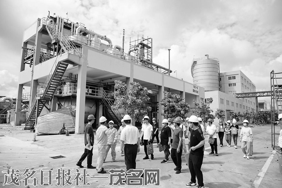 品牌环境系统 第326页