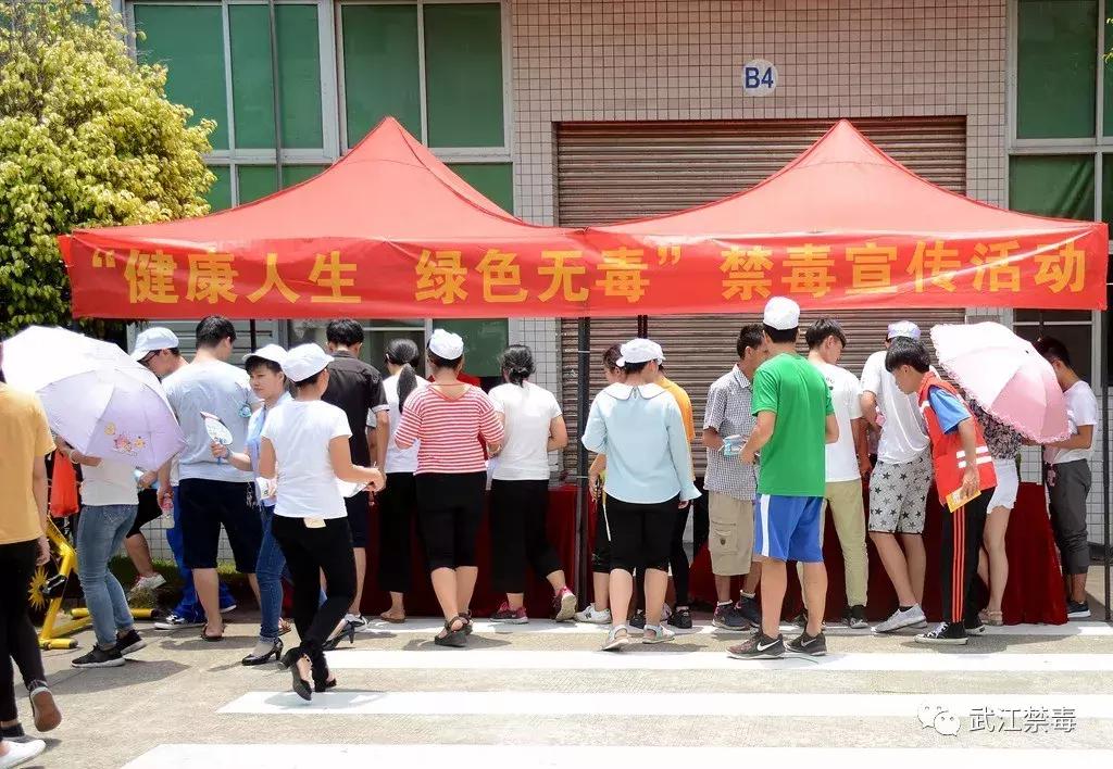 沐溪工业园最新招聘，人才吸引与产业发展深度解析之道