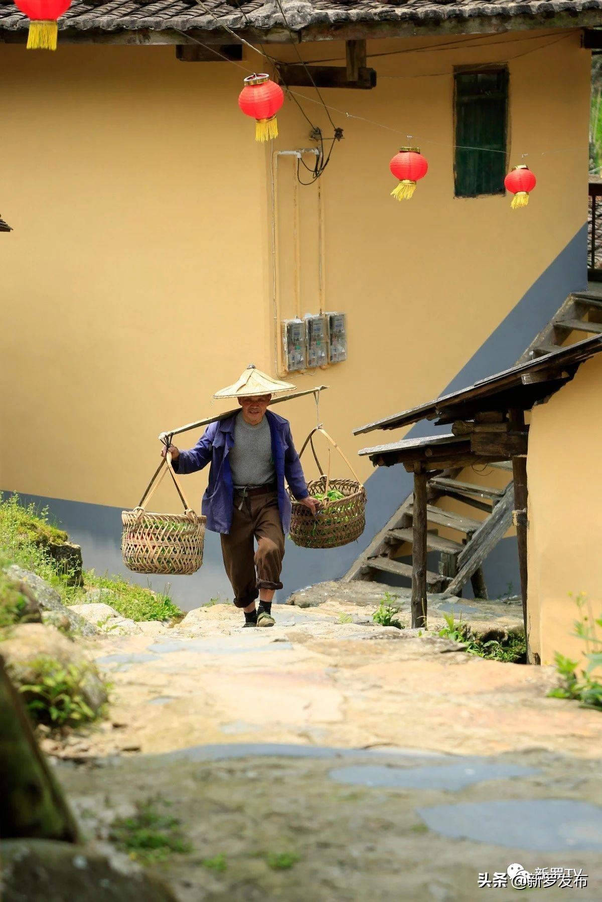 最新网络动态下的自然美景探索之旅，追寻内心平和与宁静的旅程