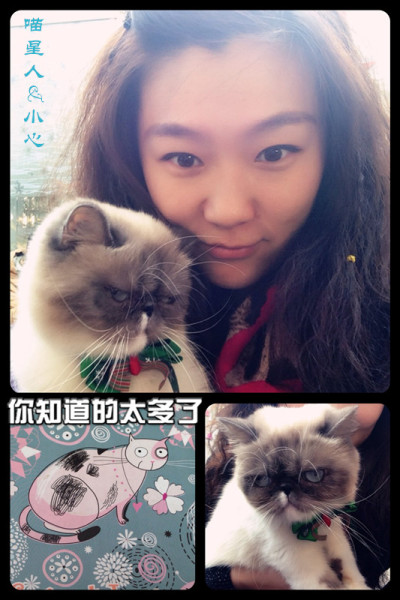 喵星人家园，巷弄深处的独特资讯平台揭秘