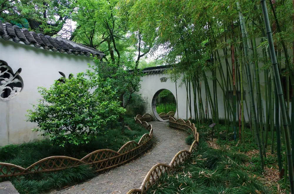 东方园林最新，小巷中的绿意秘境探索
