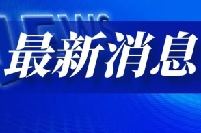 品牌环境系统 第293页