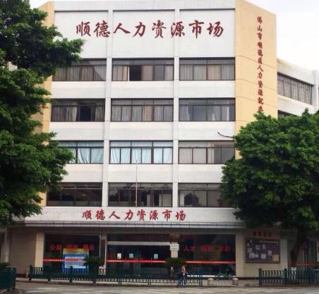 广州市人和镇招聘信息，多元视角解析与探讨