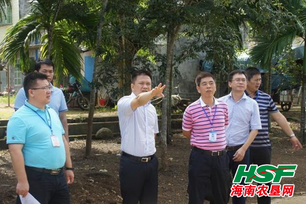 万宁市王德海最新动态揭秘，最新进展与活动报道🌟