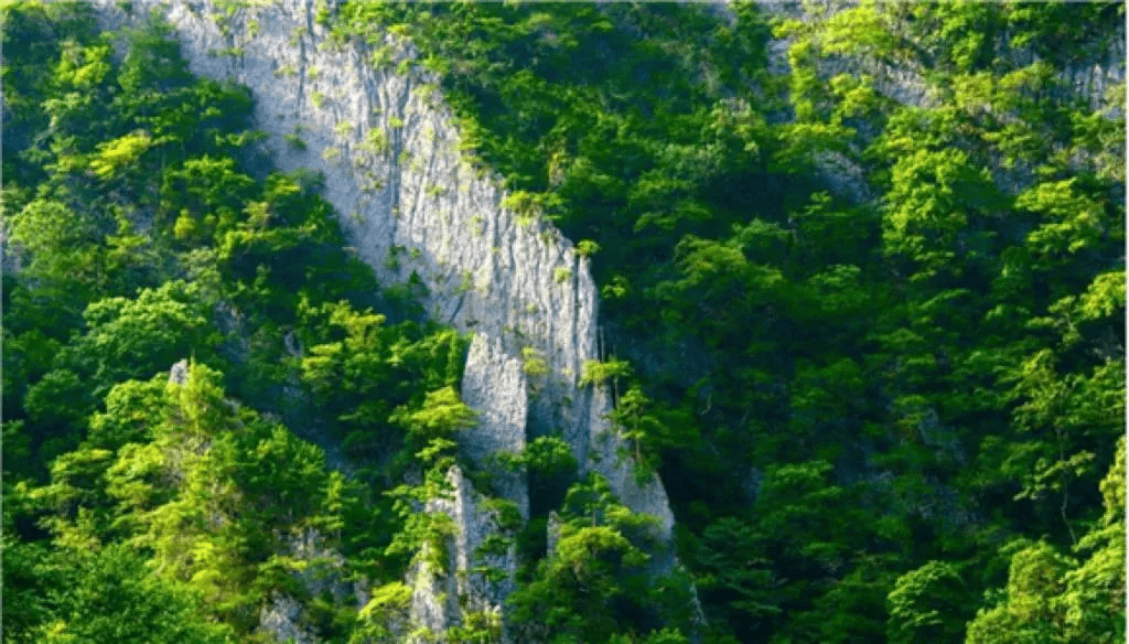 责罚电影，自然美景中的心灵之旅
