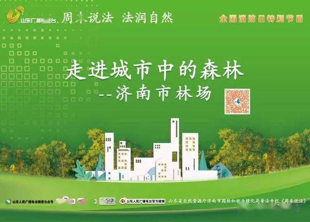 新版森林法规，守护绿色家园的新篇章行动准则