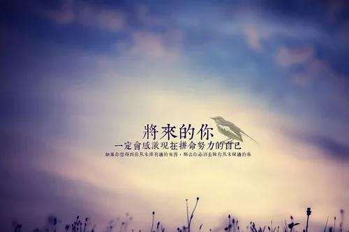 心梦无痕最新力作，科技之光照亮梦想之路