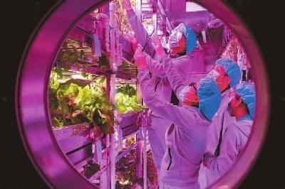 探索隐秘宝藏，乱理电影中的小巷故事与电影宇宙之旅