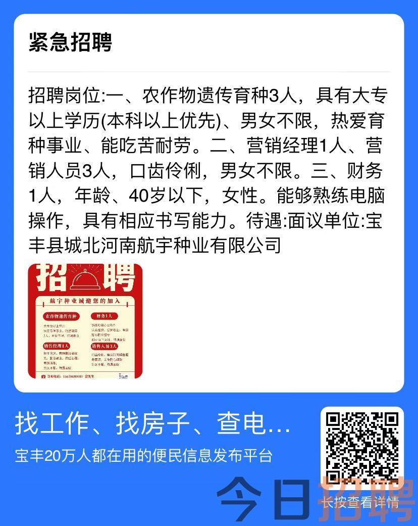 新郑辛店最新招聘信息揭秘，背后的趣事与情感连结