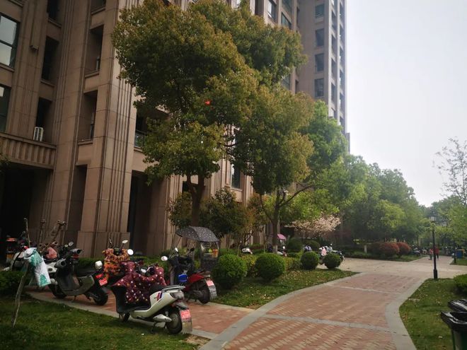 南阳盛世御苑最新动态，学习变化，自信塑造未来