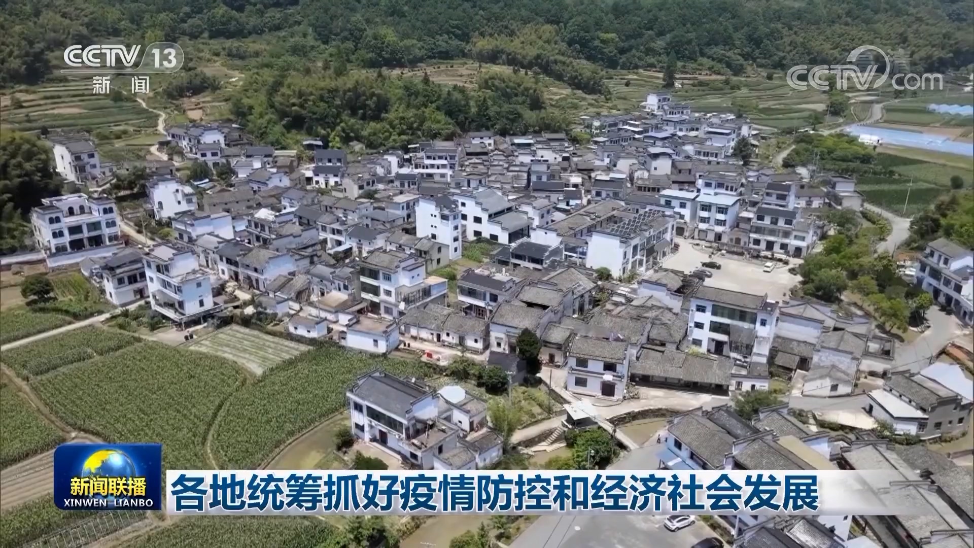 塘厦疫情下的自然探索之旅，寻找内心平和的避风港