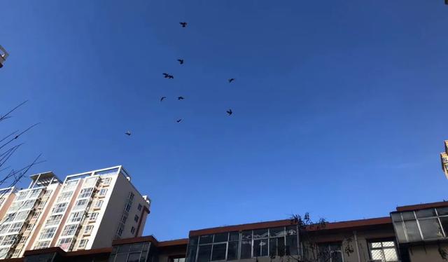 衡水市二手房市场动态，家的温暖与微妙波动