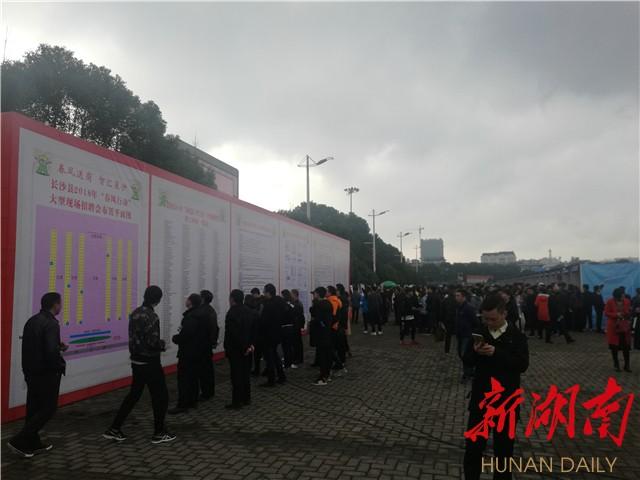 长沙最新招聘会多维度视角下的深度观察与论述