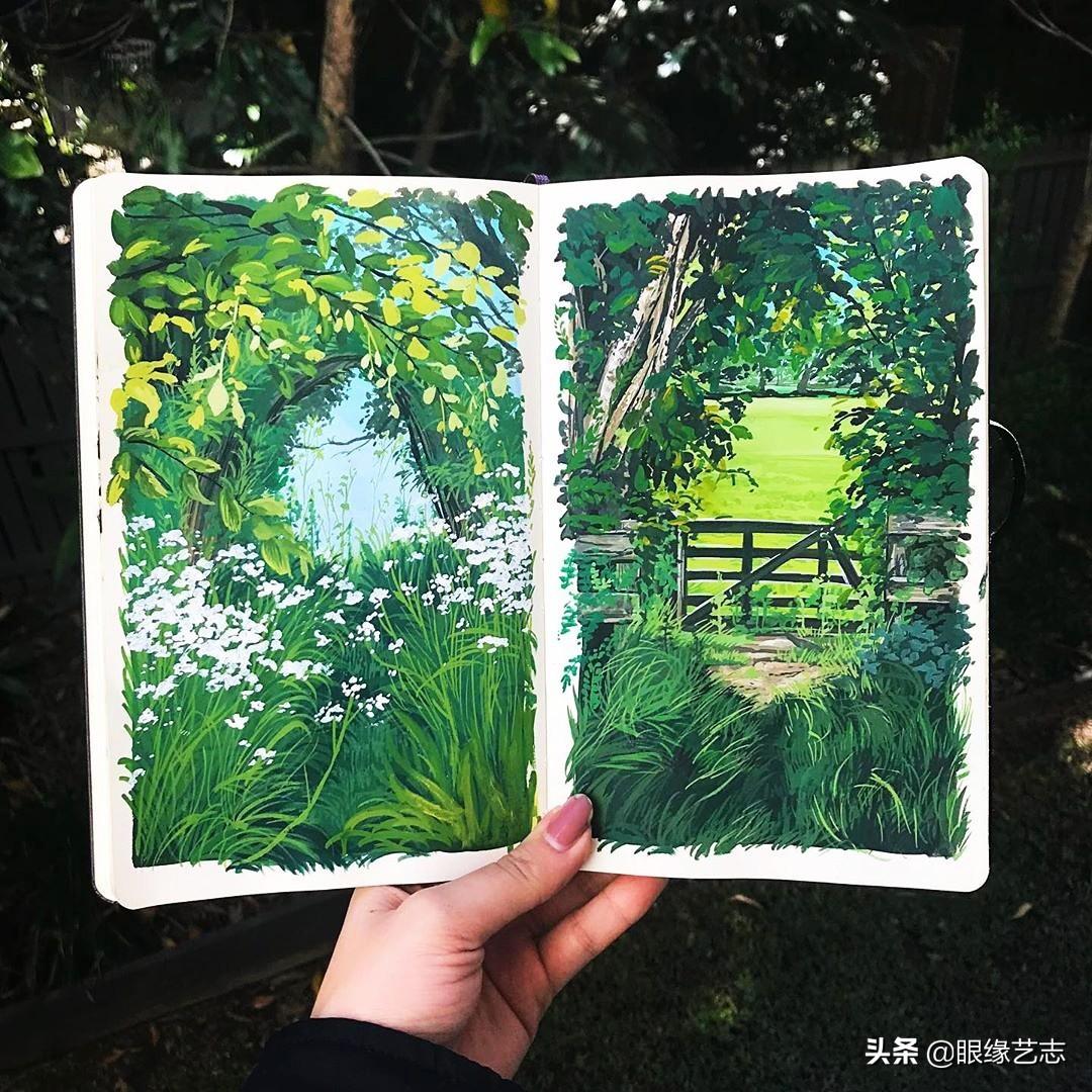 财务报表最新动态，大自然的账本展现真实之美