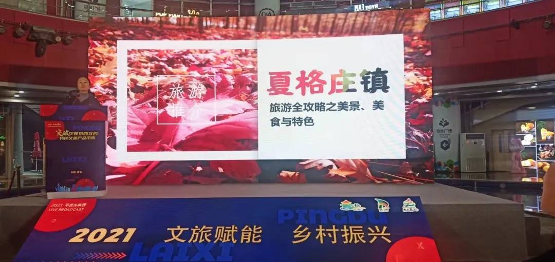 探索鲁俊小巷的惊喜，隐藏的特色小店