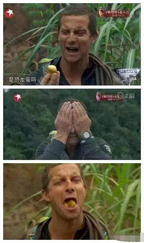 生姜最新价格揭秘，一场关于友情与家庭的温暖探索之旅