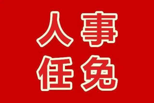 张家口最新人事任免动态揭晓