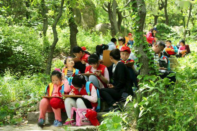 如意岛，变化中的学习之旅，成就感的源泉最新消息揭秘