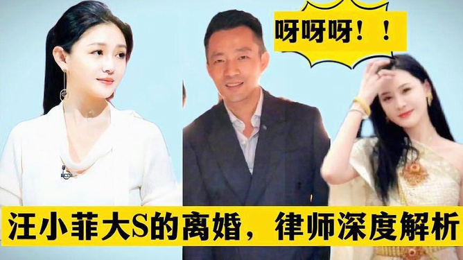 最新电视剧播放网站深度分析与个人观点分享