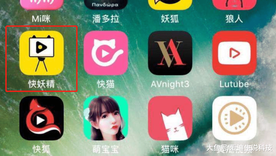 最新黄播app，小巷中的独特视听盛宴探索