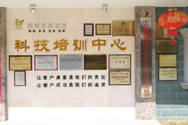 品牌环境系统 第203页