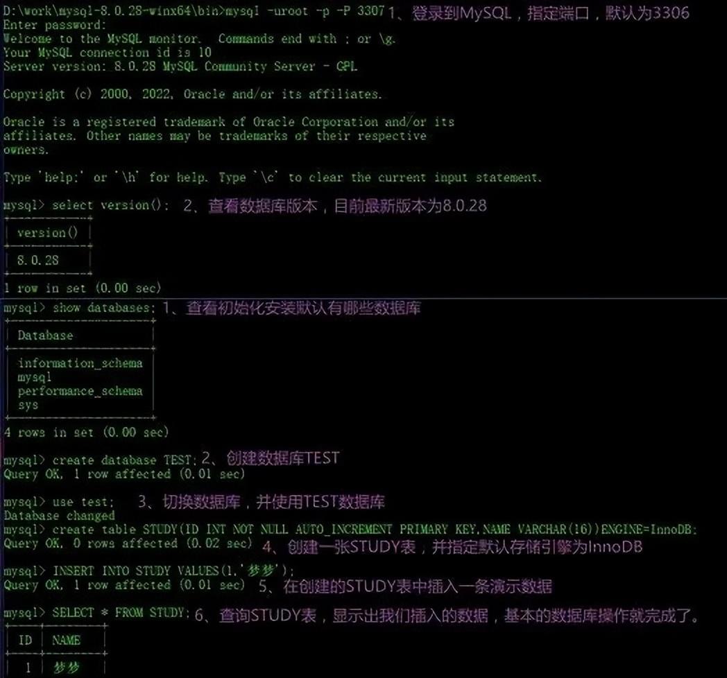 MySQL最新版下载详解，详细步骤指南与安装指南