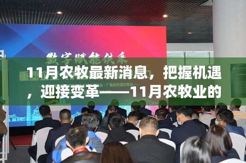 雏鹰农牧最新动态，变革中的力量与自信成就感的崛起
