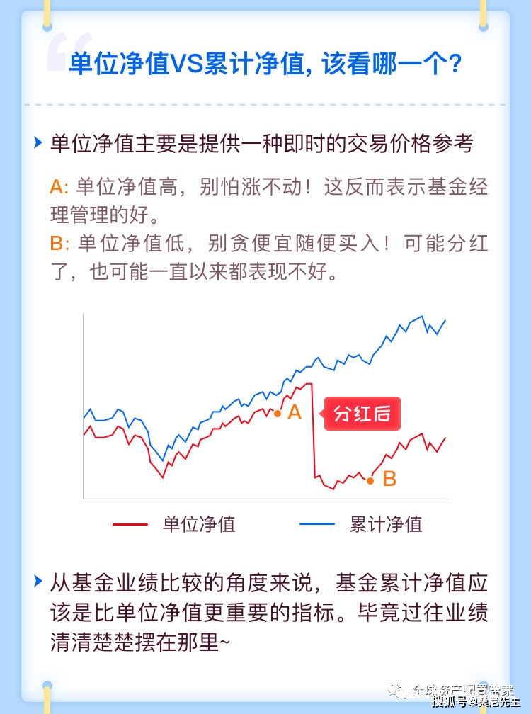 最新基金净值查询背后的友情与陪伴的温馨故事