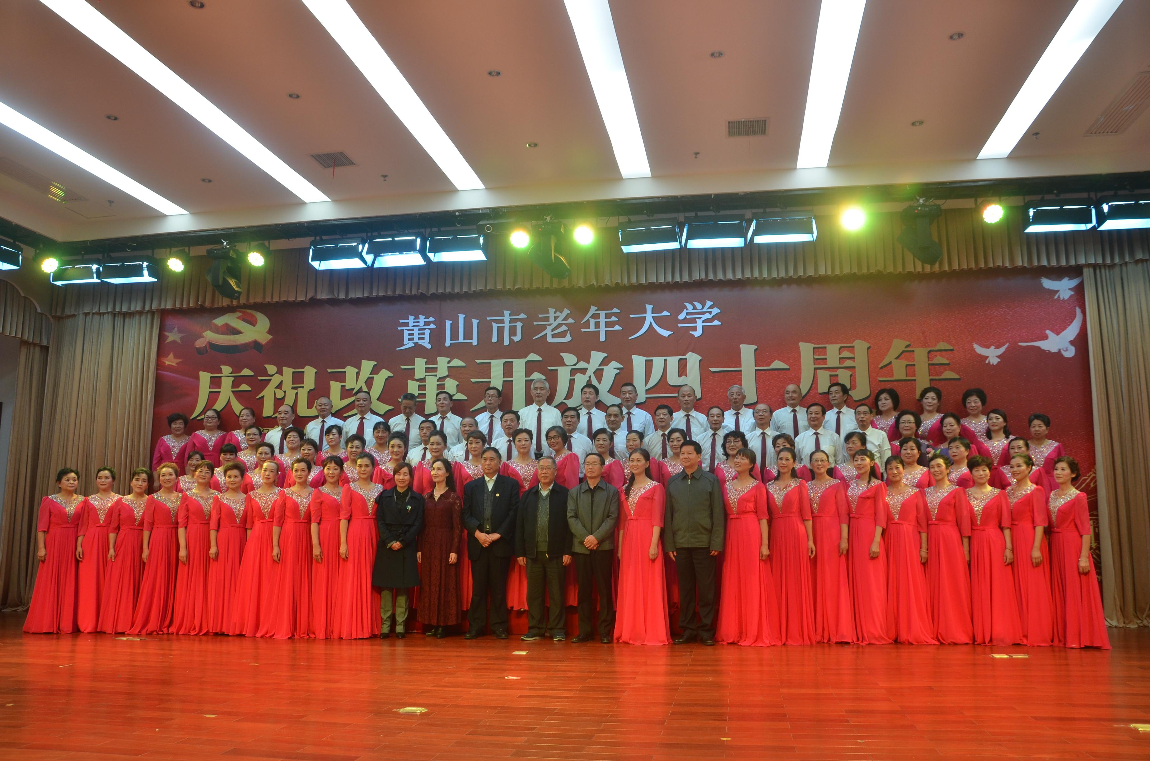 文化市场改革深度探讨，最新动态与消息速递