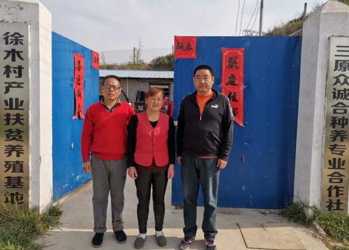 咸阳新闻网实时动态报道大全，最新新闻与实时动态集合