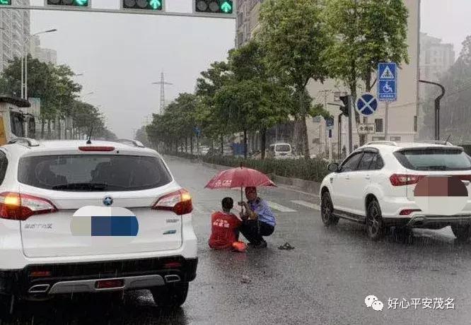 信宜交通事故最新消息，深度分析与观点阐述