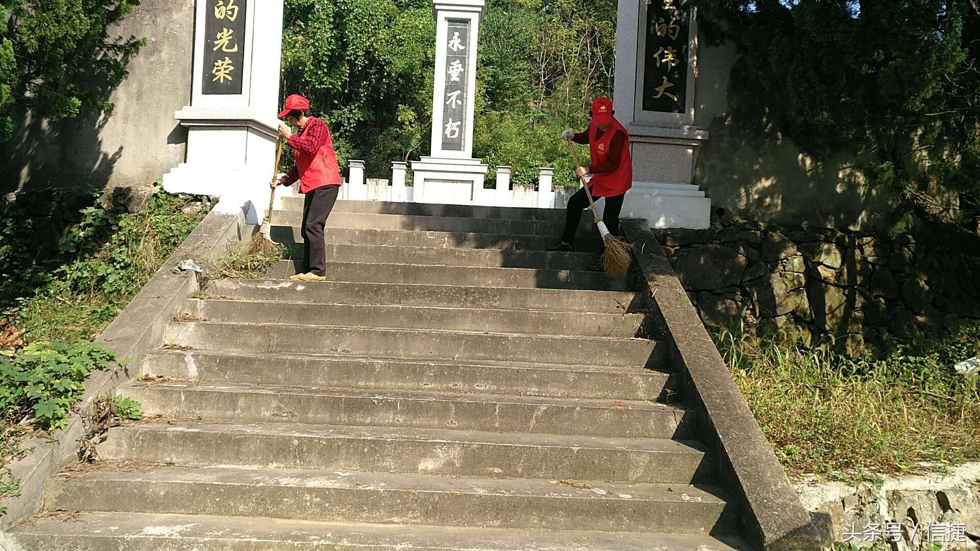 宁海县卫生局最新通知发布✨