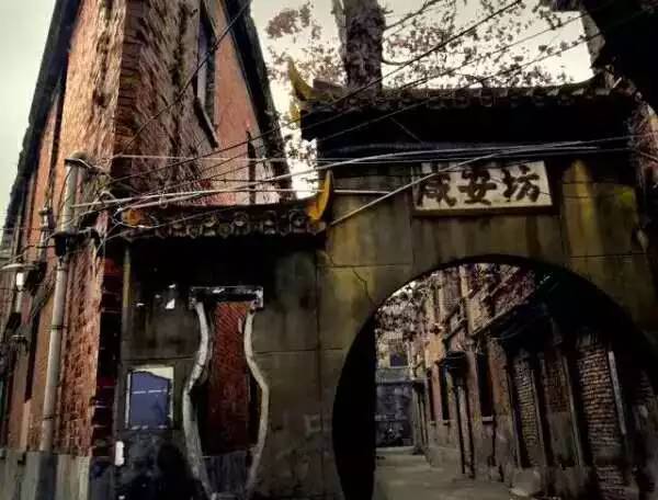 青岛林先好揭秘，小巷中的隐藏宝藏最新消息
