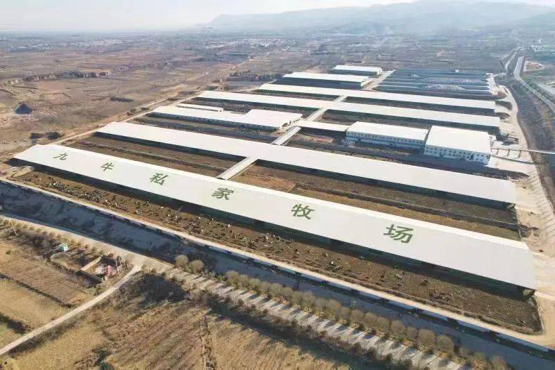 朔城区畜牧局最新项目引领现代畜牧业迈向新高度