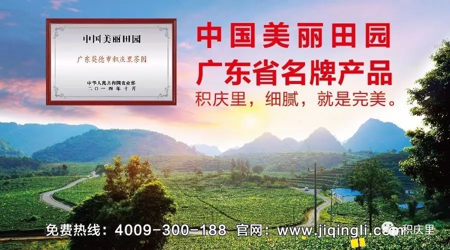 坪山茶业最新动态，茶韵生活，温馨相伴公告发布
