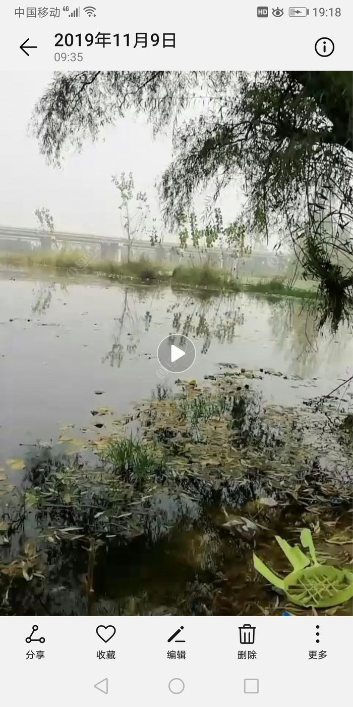 王二河水库最新钓况揭秘，垂钓胜地的新动态